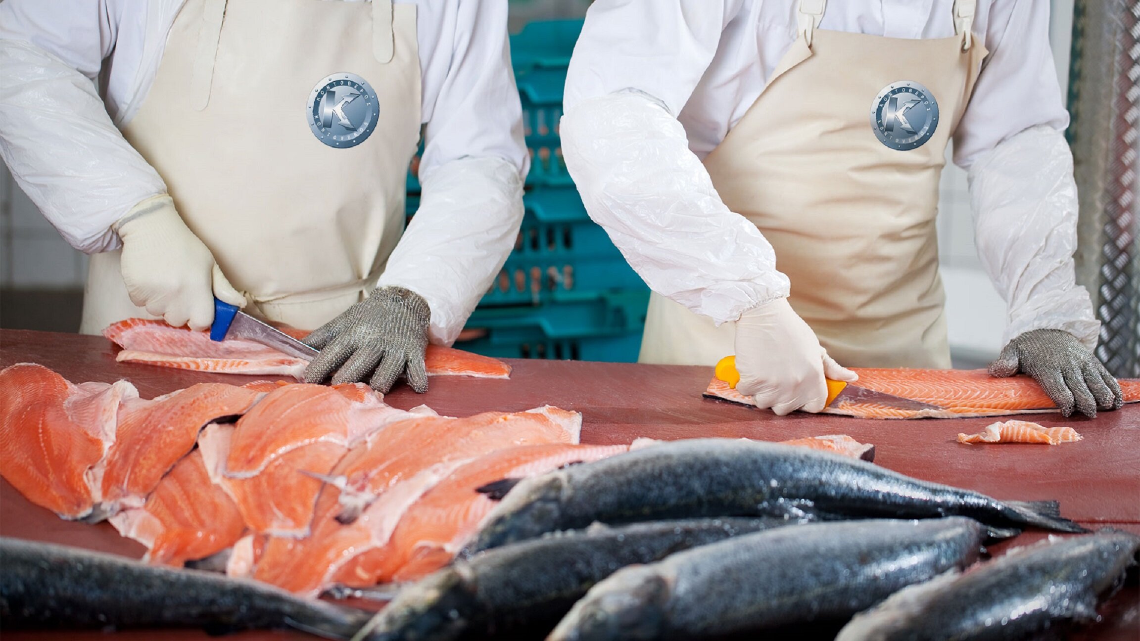 Ποιοτικός Έλεγχος